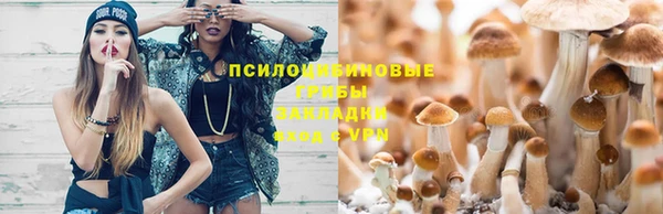 амф Алзамай