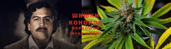 амф Алзамай
