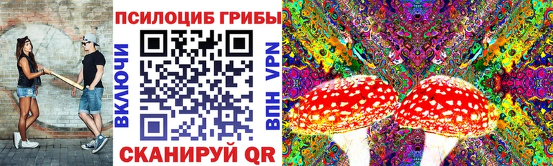 где купить   darknet как зайти  Псилоцибиновые грибы Magic Shrooms  Славск 